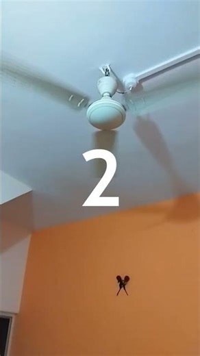 animal ceiling fan #ceilingfan #kipasmurah