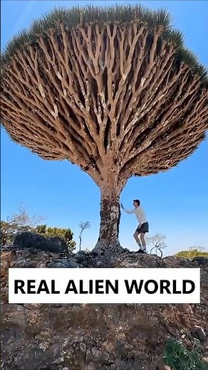 This Island Looks Like Another Planet But It’s on Earth!