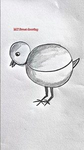 Chick 🐣 drawing #chicken #drawing #art #pencildrawings