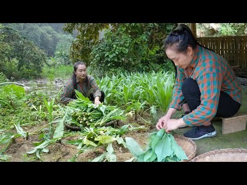 From Farm to Market: Harvesting Fresh Green Vegetables and Selling Them at the Local Market
