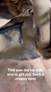 Replacing the manifold on a Ford f250 #fordsuperduty #manifold #exhaust #truckrepair #AutomotiveTechnician #mechaniclife #saltlife #rustbelt #themadbrooker | The Mad Brooker