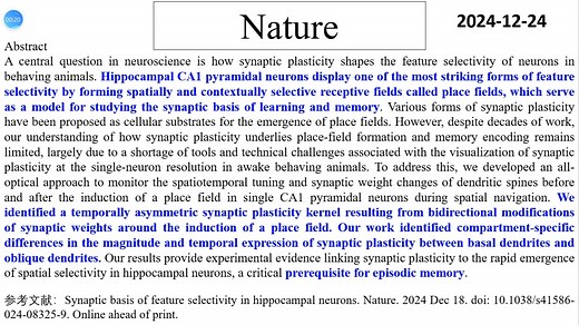Nature—认知科学研究重磅：科学家揭示海马神经元特征选择性的突触可塑性基础