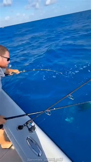 Mysterious things - New perspective | 🌑🚢 At night, the North Sea feels endless. Waves erase reflections, engines echo into nothing, and every splash sounds like the beginning of... | Instagram