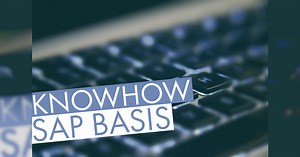 SAP Basis