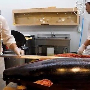 2M views · 543 shares | Giant Bluefin Tuna Cutting Skills | Amazing Chef | Facebook