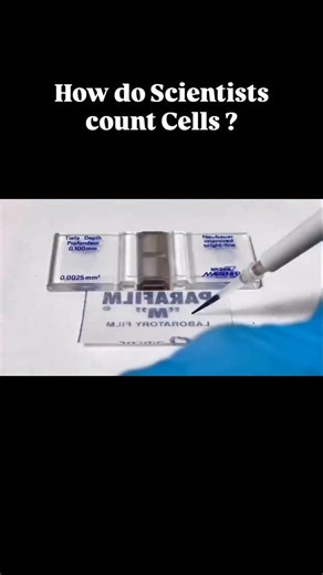 Abhay Mishra | Academic Advisor on Instagram: "Follow🎖️🧫 Cell Counting Made Simple | Hemocytometer Basics Ever wondered how researchers accurately count cells before seeding or experiments? Here’s a clear, lab-friendly breakdown 👇 (Always follow your lab SOP — steps may slightly vary) 🔬 Step 1: Prepare your cells • Adherent cells → Detach properly, make a single-cell suspension, then centrifuge • Suspension cells → Directly centrifuge • Resuspend the pellet in 0.5–1 mL fresh culture medium �