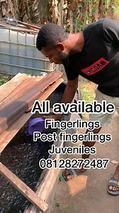 20K views · 320 reactions | Fish king on Reels | Facebook