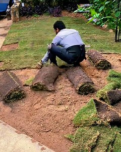 3.3M views · 3K reactions | This landscaper can completely transform all kinds of spaces  | STUDENTbible | Facebook