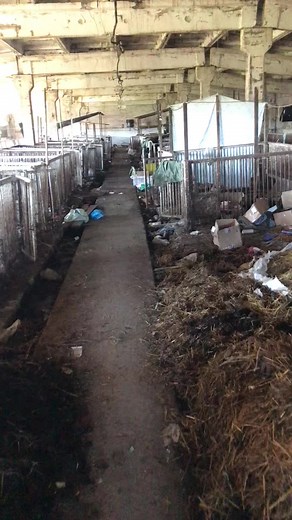 Exploring a Rustic Barn's Dilapidated Structure