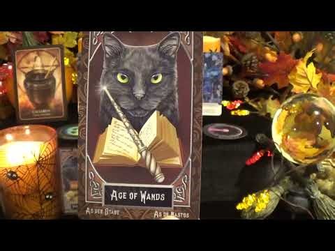 ♌️Leo | Take A Chance On This Because Success Is Guaranteed | Scorpio Season Reading