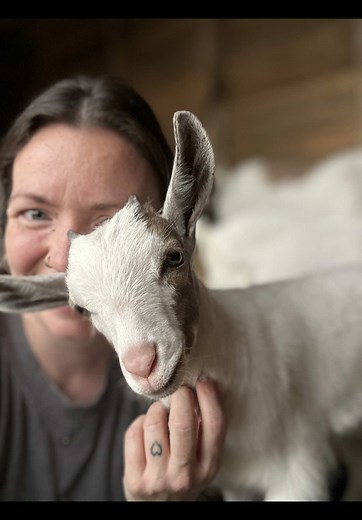 Clover & Lucky Join Laux Family Farm! 🐐