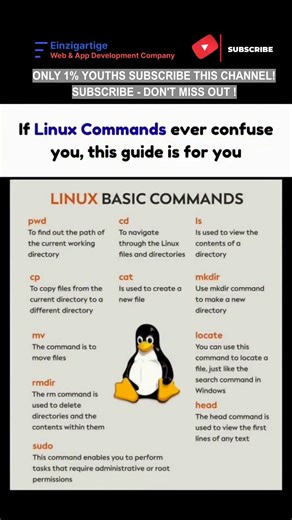 Subscribe 👍 Like ❤️ | 10 Linux Commands You Must Know #shorts #viral #youtubeshorts