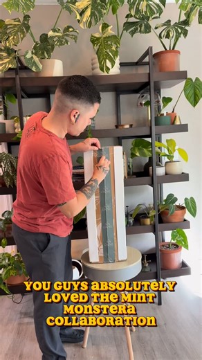 9.8K views · 357 reactions | $10 off using Trinitytropicals Comment “albo” and I’ll dm you the link!  • • • • • • • #monstera #monsteraalbo #houseplant #plantsofinstagram #variegated #variegatedmonstera #albomonstera | Trinity Tropicals | Facebook