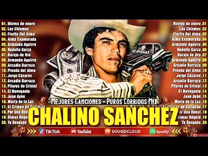 30 Corridos de Chalino Sánchez – Lo mejor de Chalino Sánchez 💥Mix Puros Corridos