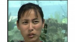 项目化学习案例——Student Led Projects - Open-Air Education