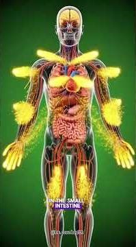 Benefits of eating tumeric #health #ahorts