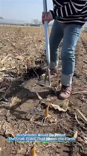 Archimedes’ lever powers farm tool #Farming #DIY #Science