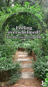 18K views · 1.2K reactions | Comment WINTER and I’ll send you my...