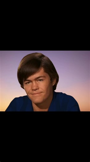 The Monkees, formed in 1966 as a television band, quickly evolved into a beloved musical group with a dedicated fanbase. Their charm, infused with humor and catchy tunes, captivated audiences, leading to a unique relationship with their fans. | The Euphoric Splendor of The Monkees