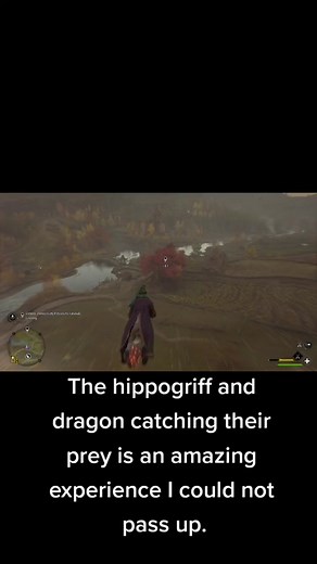 Magical Creatures in the Game: Hippogriff and Dragon Hunting Experience