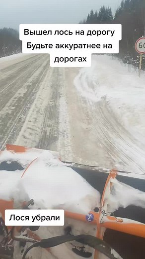 #аккуратнейнадорогах