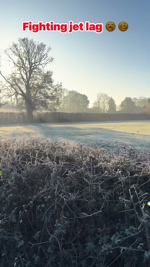 23K views · 487 reactions | Anna Grayston Carriage Driving Competitor and Coach on Reels | Facebook