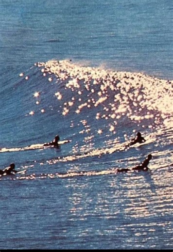 Discover the Healing Vibes of 'Wave' on Spotify