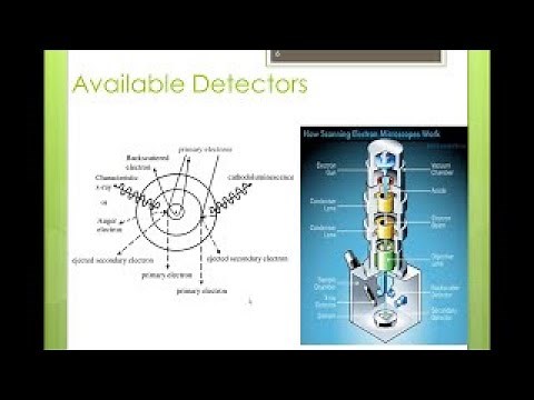Part 1-An Introduction to Scanning electron Microscope (SEM)