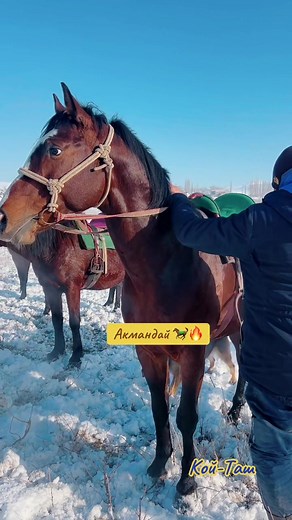 Discover the Original Ptačí Tanec Dance from Akmanday