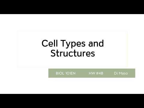 Cell Types and Structure (Homework)