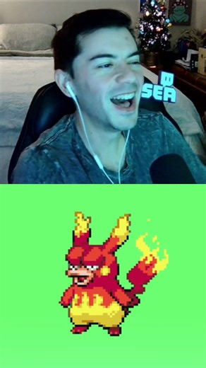 Pikachu & Magmar Cute Ugly Pokémon Evolution!