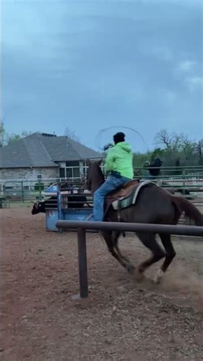 Everyone can relate to this #rodeo #rodeoevent #horse #roping #teamroping