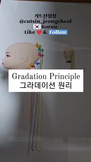 Gradation principle 그라데이션 원리 베이직의 시작은 원리부터 이해를 하는거죠 👏 The beginning of the basics is to understand the principles 👏 이걸 10번만 보세요 층을 커트를 이해하는데 도움이 될겁니다! Look at this 10 times It'll help you understand cut #커트신정철 #커트 #커트교육 #커트학원 #bob #bobhaircut #hair #haircut #hairstyle #haircolor #레이어드커트 #사모님커트 #그라데이션