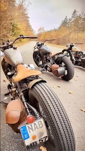 SHOWTIME! Shovelhead Harley-Davidsons