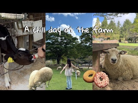 子牛にミルクをあげたくて早起きした日