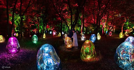 teamLab Botanical Garden Osaka Tickets - Klook The Bahamas