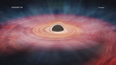 Astronomers Discovers A Black Hole Destroying A Huge Star