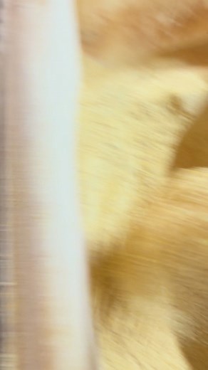 151K views · 1.4K reactions | Feeding sows in farrowing house. We feed twice a day as much as they’ll clean up. 1 ton Ration 600 soybean meal 92 pounds Suidae sow mix 14 pounds firstboost 2 pounds envigor8+ 3 pounds deactiv8+ 1 pound Nutrazyme 4 pounds NutraM 1288 pounds corn. #Pigfeed #rations #farming #thediversifiedfarmer | The Diversified Farmer | Facebook