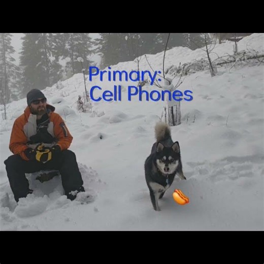 Two Step PACE Plan #shorts #hamradio #pace #emergency #communication #offgrid