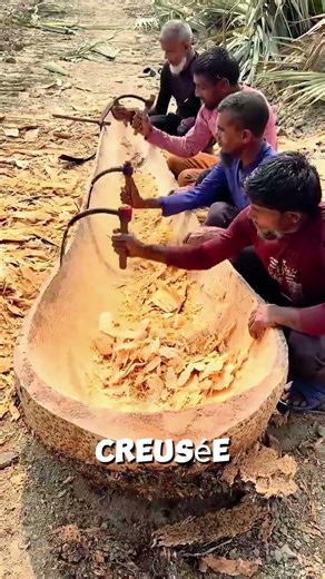 The ancient secret of the palm tree still works today 🌴