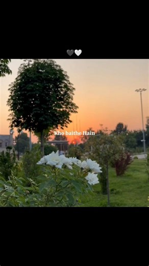 This view + This song = Peace .? Ham Tere pyar Mein.#Shorts #Travel #shortsfeed