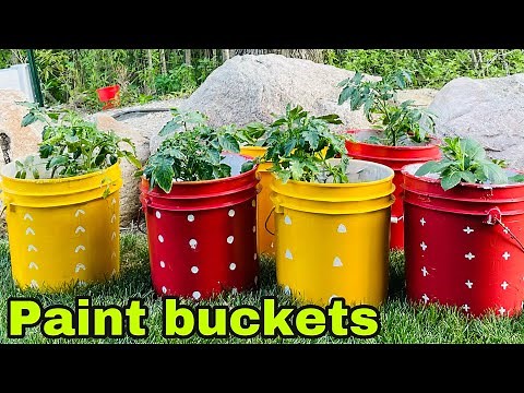 Paint bucket Craft idea | Pot painting | Home Gardening | LakshmiTalks