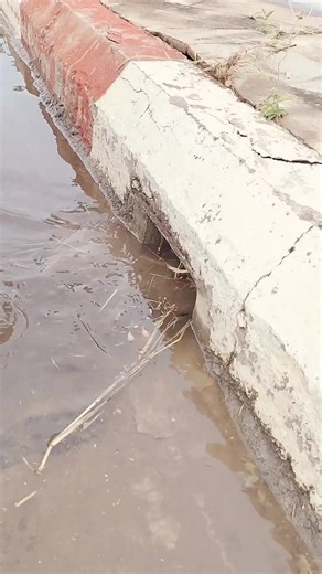 Debris Full Clogged Culvert Drain #drain #satisfying #remove #Addresse #venthosting #Location #handmadegoods #localartisans #bargainhunt#neighborhoodevent #vintageshopping #PartyVenue #FurnitureSale #culvert #shorts | A. Datess