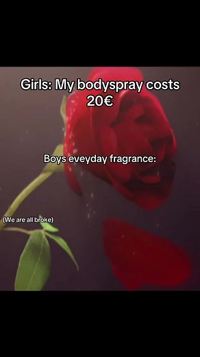 WonderSamples on TikTok