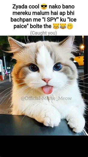 We all thought it was "Ice paice"#tweetreels #relatable #shorts #viral #memes #memer #fypシ゚viral#fyp