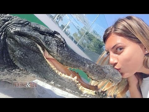 Meet "Gator Girl," The Woman Who Rescues and Wrestles Alligators - Pickler & Ben