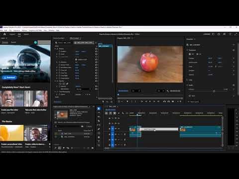 How to freeze a frame in Adobe Premiere Pro: A quick tutorial on making a frame hold in your video