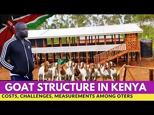 How To Build a Modern Raised Goat Structure In Kenya 2024