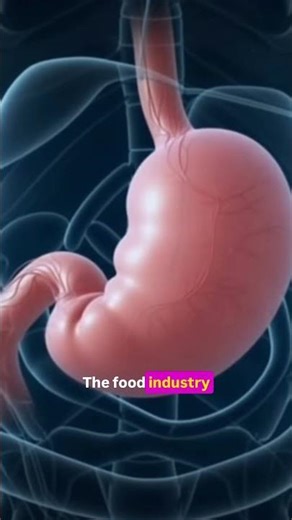 How The Food Industry Monetized Your Digestion 💸🪤