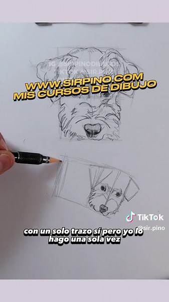 Cómo dibujar un perro paso a paso con este videotutorial de dibujo. Aprende hoy mismo! IG @sirpinodibujos Canal de YOUTUBE SIR PINO Discord Sir Pino WWW.SIRPINO.COM (Mis cursos de dibujo) #fyp #dibujos #artistsoftiktok #arte #drawing #lapiz #tutorial #sketchbook #sketch #tutorial #consejos #tips #dibujoalapiz #tutorial #art #tutorialdibujo #cursodibujo #sirpino #comodibujar #consejos